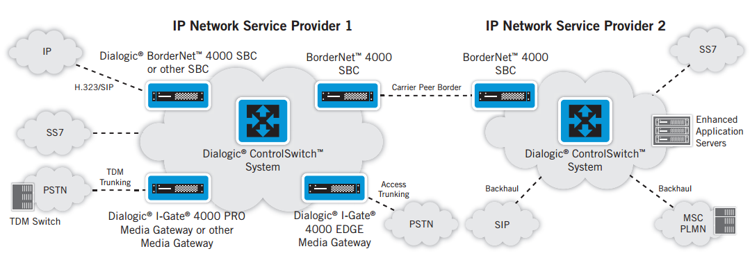 Multi-Service Dialogic ControlSwitch System Deployment