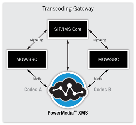 Software Transcoding Gateway